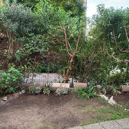Appartamento Con Giardino A 50 M Dal Mare LʼÎle-Rousse Dış mekan fotoğraf